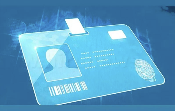 Digital Identity Systems